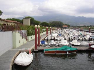 Arteva